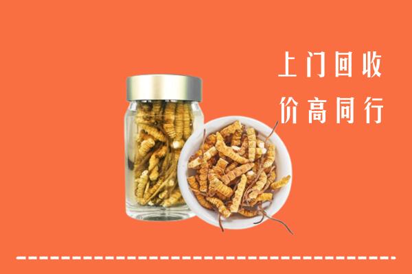 永福县回收冬虫夏草